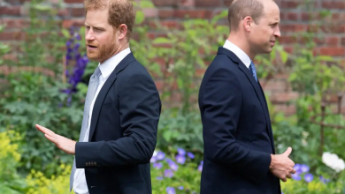 UK Royal Family: शाही परिवार में दरार! किताब में खुलासा-प्रिंस विलियम और हेरी के रि‍श्‍ते में फूट, छोटे भाई की पत्‍नि‍ मेगन मार्कल को मां प्रि‍ंसेस डायना के गहने पहनने से किया था मना