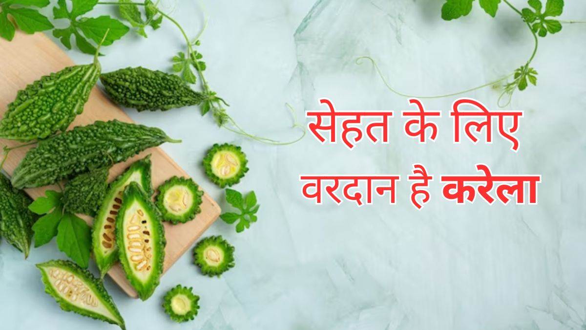21 09 2023 karela benefits 23535781