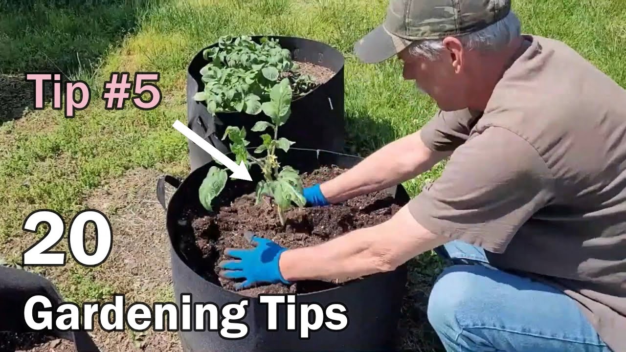GARDENING TIPS