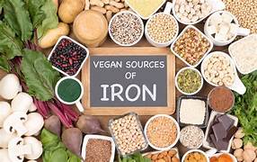 Iron Foods: पालक की तरह इन चीजों में भी होती है आयरन की भरपूर मात्रा, एनीमिया रोगियों के लिए बहुत फायदेमंद 22 IRON FOODS
