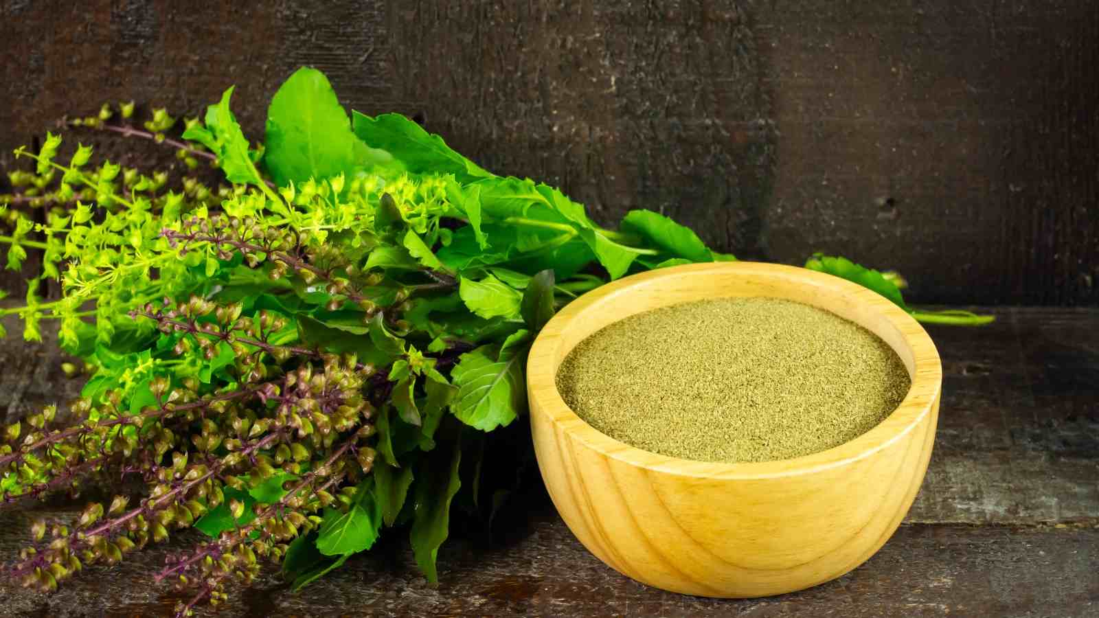 आइए जानें कैसे करे तुलसी की पत्तियों को अपनी स्किन केयर रूटीन में शामिल 22 Know how to use tulsi for skin care