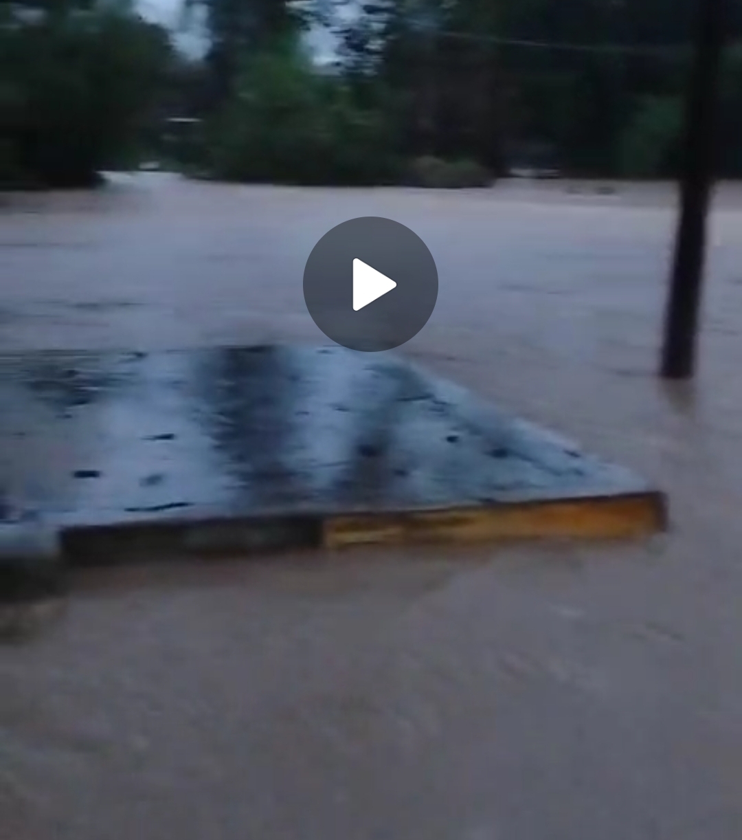 Screenshot 20240804 074621 WhatsApp