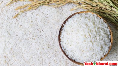 basmati rice