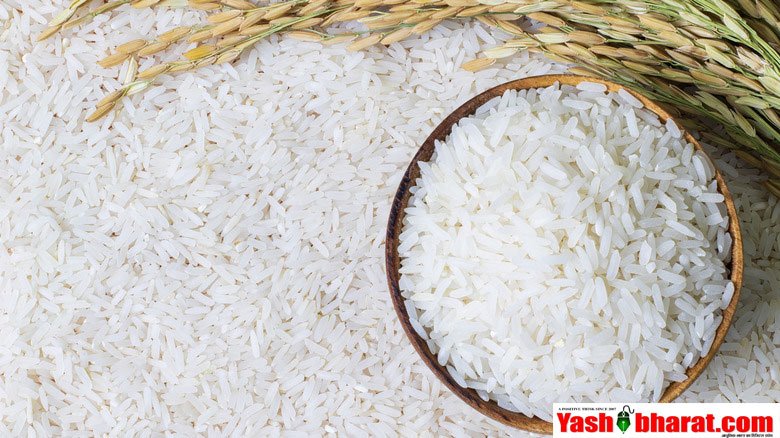क्या आप भी खा रहे हैं नकली चावल? मिलावट पहचानने के आसान तरीके जानें 1 basmati rice