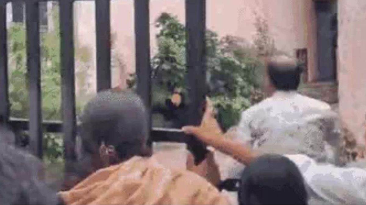 emale councilors and their husbands beat cmo