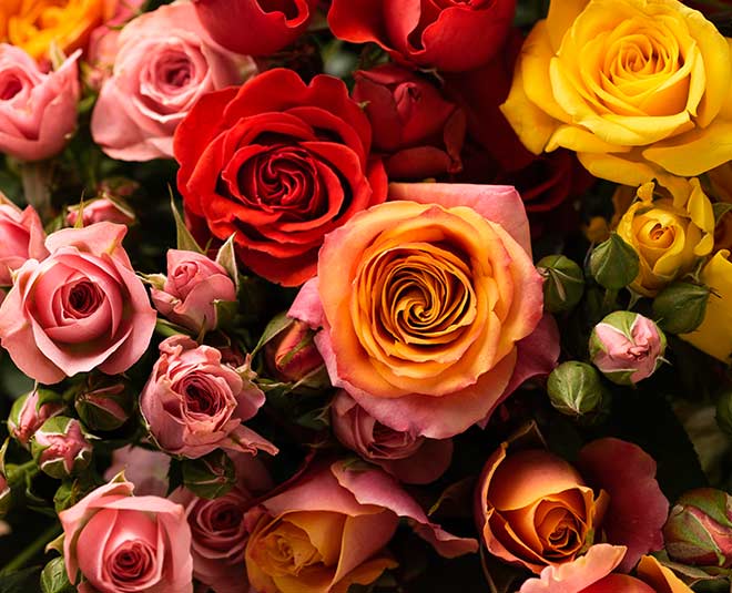 ways to make rose flower room freshener spray