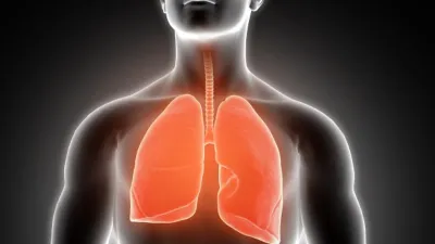 wordt food for lungs 1619766339
