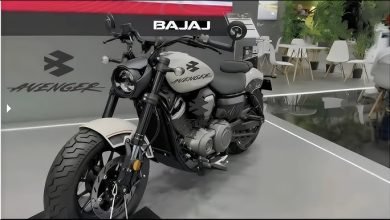 Bajaj Avenger 400 Bike