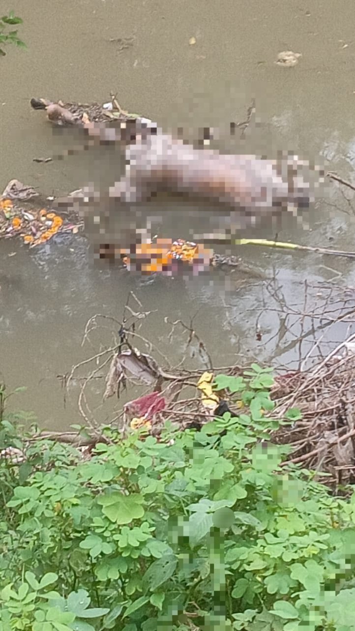 IMG 20240910 WA0007 1