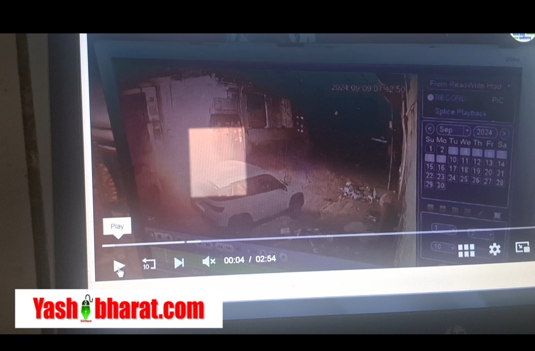 Screenshot 20240916 014016 Editor Lite