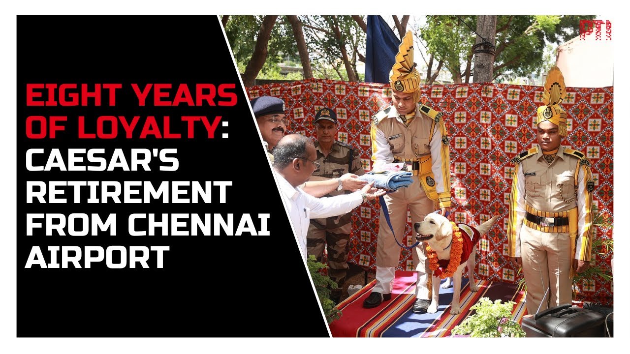 अगले जनम मोहे कुत्ता ही कीजो: CISF के डॉग स्क्वायड के हीरो की शानदार विदाई, 8 साल की सेवा के बाद रिटायर हुआ सीजर 22 dog