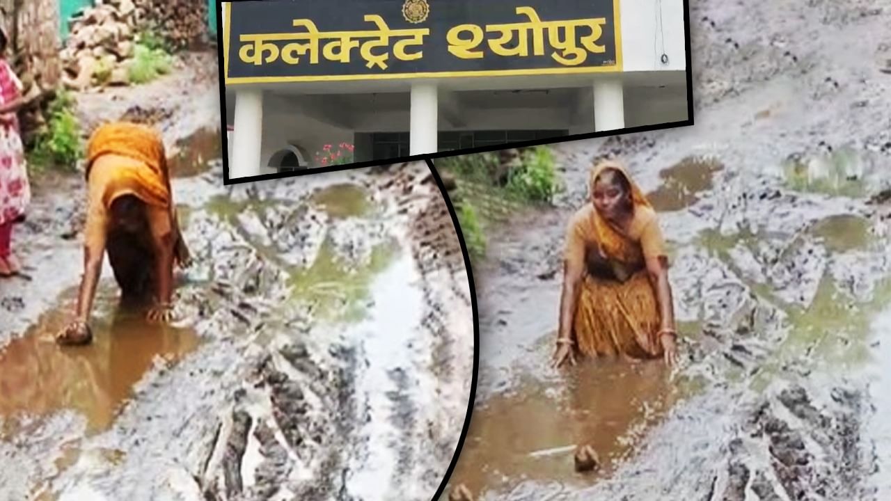सड़क बनवा दो सरकार: महिला की दुर्दशा देखकर लोगों में आक्रोश 22 sheopur news