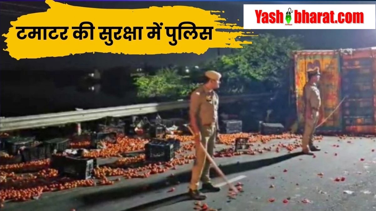 19 10 2024 tomato protection