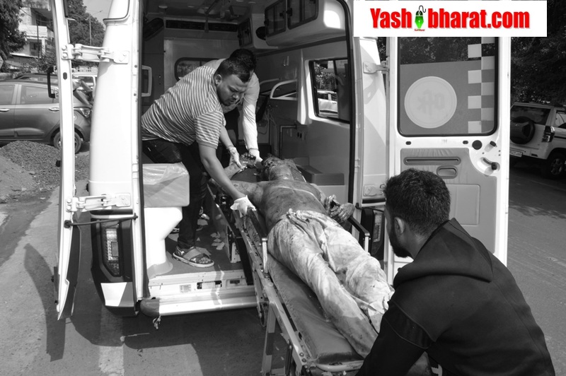 जबलपुर आयुध निर्माणी खमरिया में ब्लास्ट: 2 की मौत, 11 घायल 22 jabalpur22d4