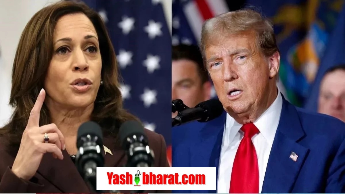 05 11 2024 us president election