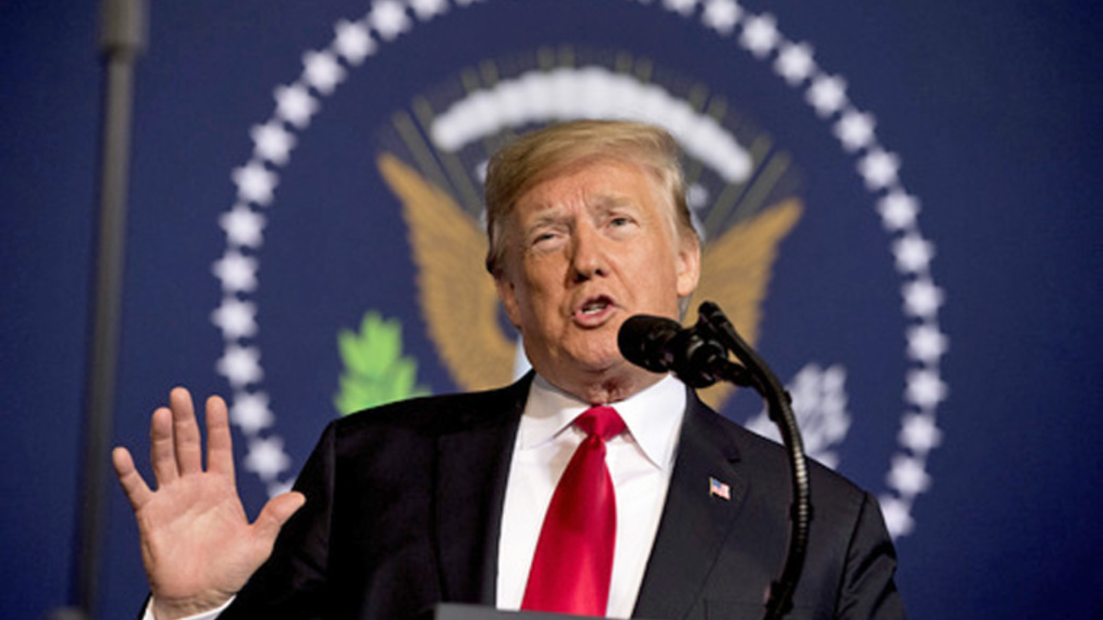 donald trump education 113327946