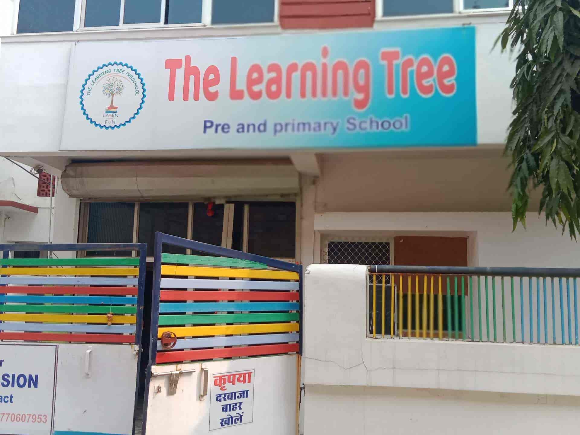 the learning tree preschool katni madhaw nagar katni schools