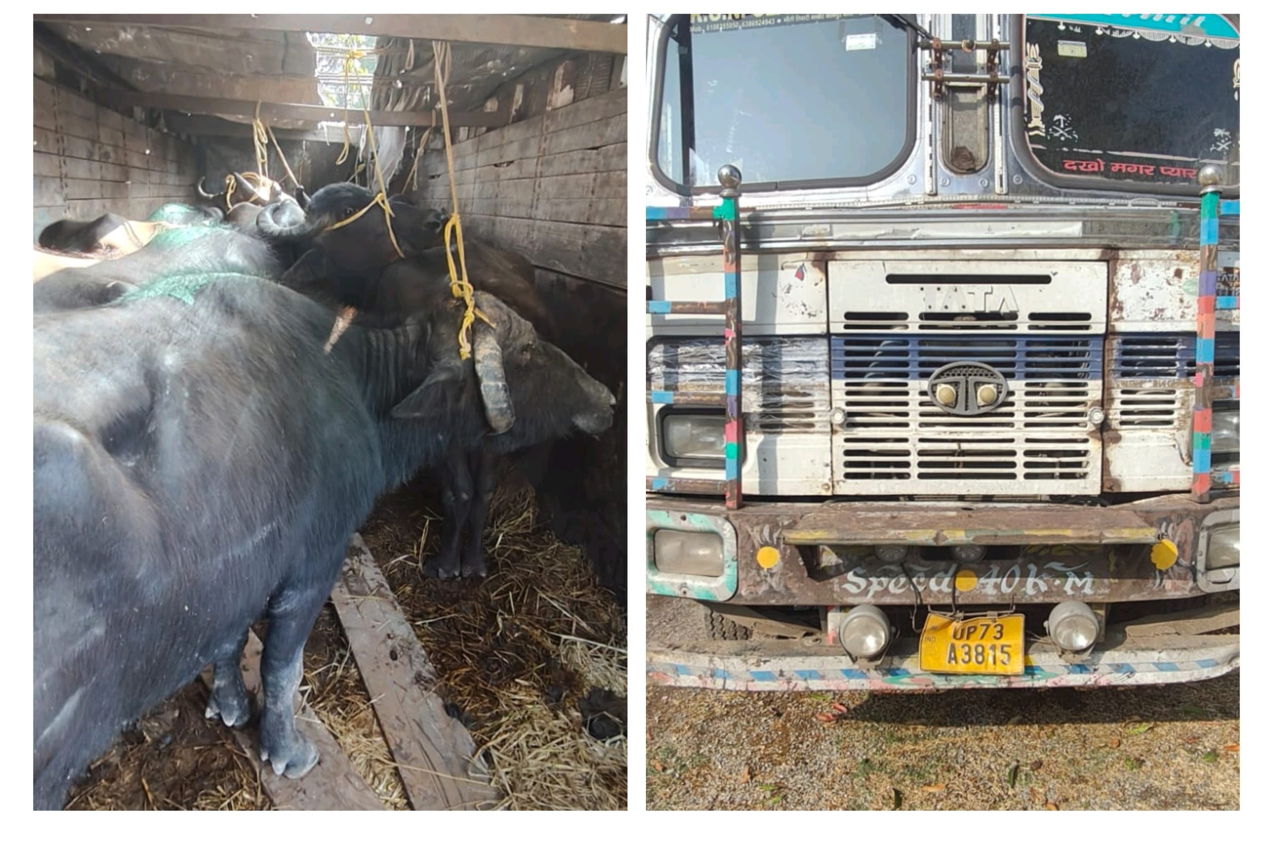 IMG 20250108 160910 scaled