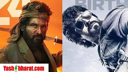 pashhapa 2 gama cajara 1db58eb80fe7c46f758d83389705af95