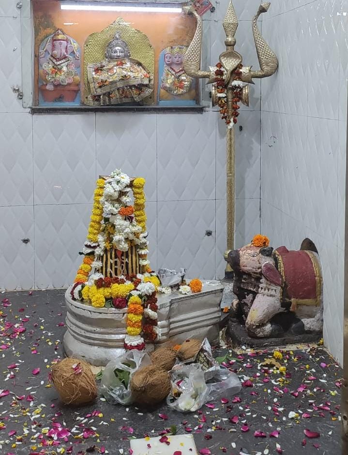 भव्यता के साथ मनाया जाएगा पर्व, होगा विशेष पूजन महाशिवरात्रि को लेकर सजे शिवालय, धूमधाम से निकलेगी बाबा की बारात 22 IMG 20250225 WA0020