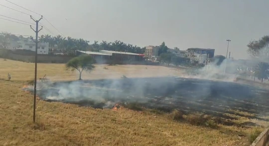नरवाई की आग खेत मे फैली, दो दमकल वाहनों ने पाया आग पर काबू 22 IMG 20250421 WA0018