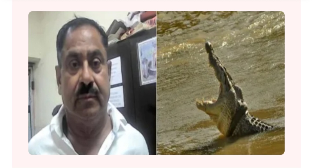 Screenshot 20250521 091826 Chrome