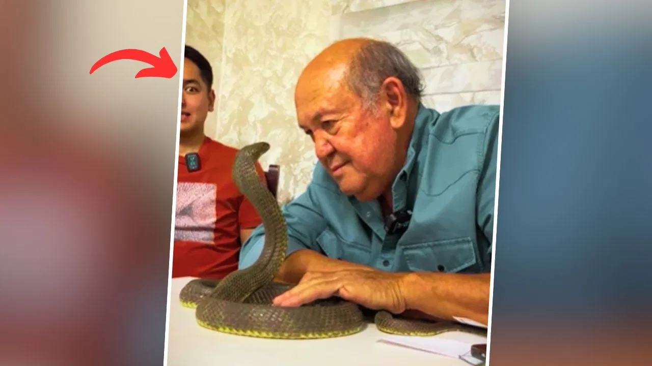 सुप्रीम कोर्ट ने विजय शाह को ‘घड़ियाली आंसू’ कहा, SIT गठन का आदेश