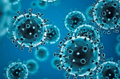 coronavirus 2.tmb 479v