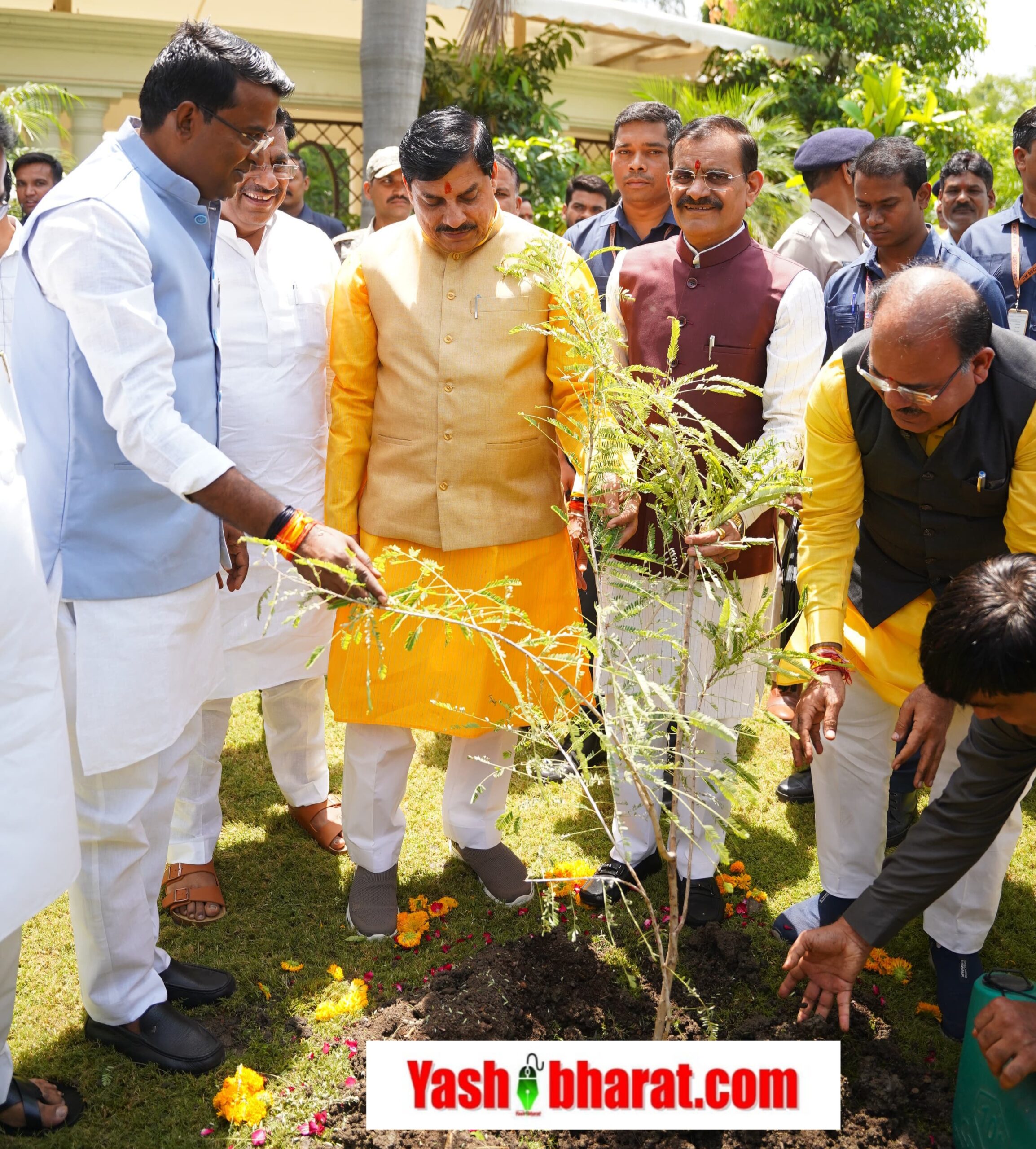 विश्व पर्यावरण दिवस पर 'एक पेड़ मां के नाम' अभियान का शुभारंभ, CM मोहन यादव और विष्णुदत्त शर्मा ने दिया पर्यावरण बचाने का संदेश