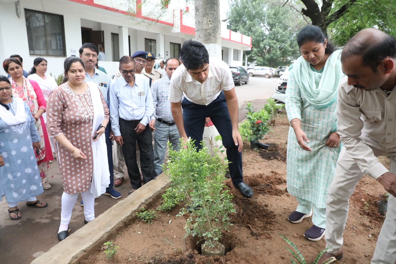 कलेक्टर ने एक पेड़ मां के नाम अभियान के तहत किया पौधारोपण 22 IMG 20250630 WA0043