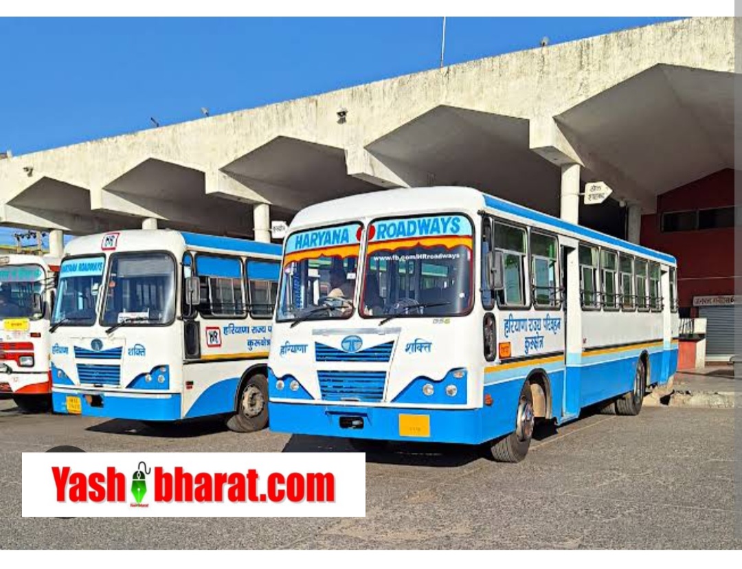 Sarkari Naukari: सरकारी नौकरी की तलाश खत्म, परिवहन विभाग में निकली भर्ती, कितने पद हैं? जानें यहां