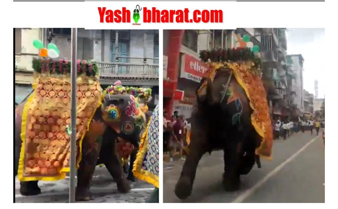 जगन्नाथ रथ यात्रा में शामिल हाथी तेज साउंड सिस्टम से घबराए, भीड़ के बीच दौड़ पड़े- लोगों में अफरा-तफरी