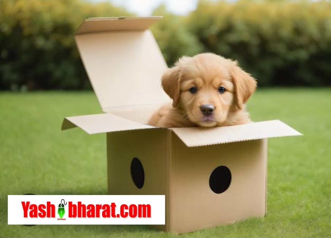 Online Kutta Crime : MP में कुत्ता खरीदने के नाम पर महिला के खाते से दो लाख निकाले, Be Alert