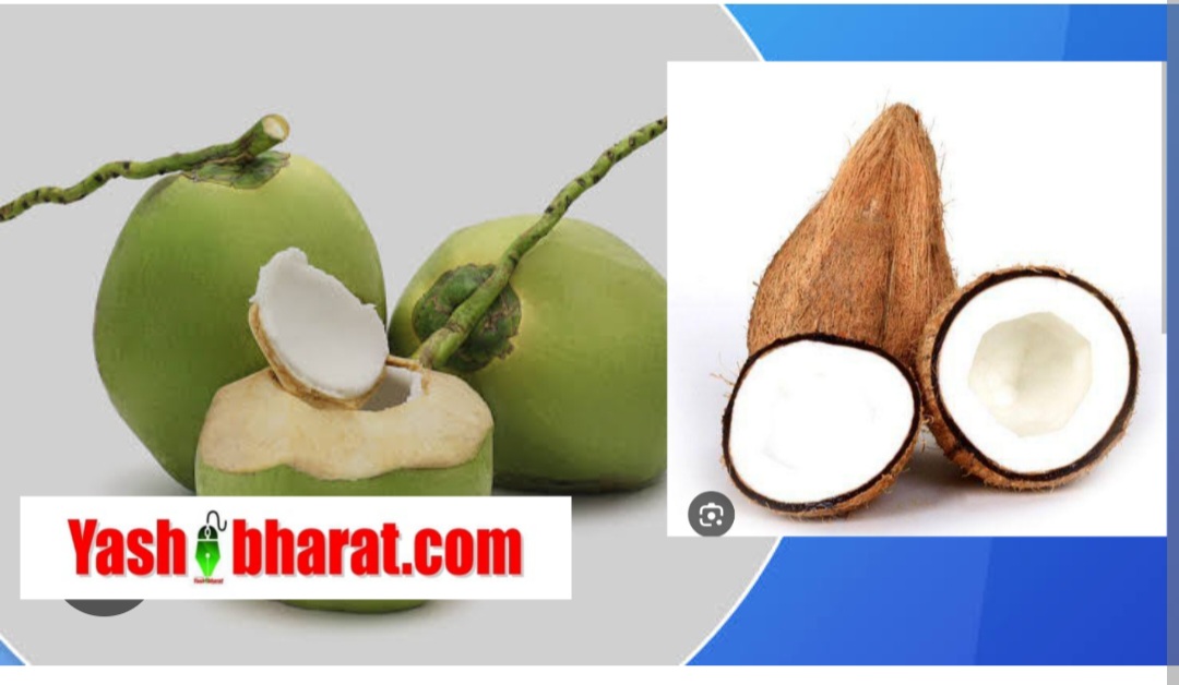 Kacha Nariyal Pani Wala: श्रावण से पहले श्री फल महंगा, रक्षाबंधन तक रेट 40 ₹ तक पहुंचने के आसार, 80 रु में बिक रहा हरा नारियल