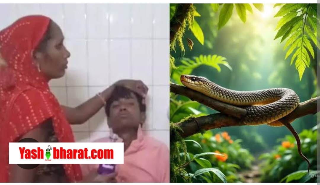 शराब और पागलपन का संगम: युवक ने निगल लिया लाइव स्नेक, अस्पताल में हुई मिस्ट्री