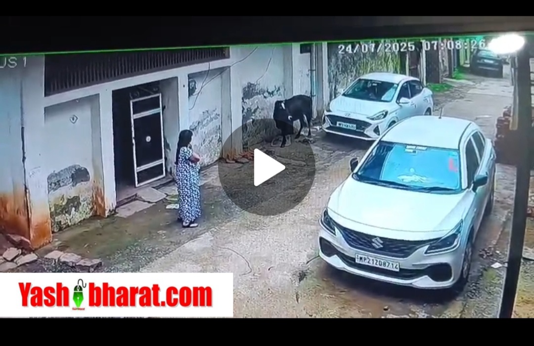 क्रिकेट मैच देख रहे नाबालिग पर जानलेवा हमला, दो युवकों ने चाकू से गोदा। कटनी। कटनी शहर के खिरहनी फाटक इलाके में रविवार की शाम एक 16 वर्षीय किशोर पर दो युवकों ने जानलेवा हमला कर दिया। यह घटना लाल ग्राउंड में तब हुई जब किशोर अपने दोस्तों के साथ क्रिकेट मैच देख रहा था। हमलावरों ने पहले शराब के लिए पैसे मांगे और इनकार करने पर चाकू से हमला कर दिया। गंभीर रूप से घायल किशोर को जिला अस्पताल में भर्ती कराया गया है, जहां उसका इलाज चल रहा है। पुलिस ने मामला दर्ज कर आरोपियों की तलाश शुरू कर दी है। घटना कोतवाली थाना क्षेत्र के अंतर्गत आने वाले लाल ग्राउंड में हुई। पीड़ित आयुष दहिया (16), अपने दोस्त हेमंत रैकवार के साथ मैच देख रहा था। हेमंत ने बताया, "हम लोग मैच देख रहे थे, तभी सुमित और विष्णु अपने कुछ साथियों के साथ आए। वे आयुष से शराब पीने के लिए पैसे मांगने लगे।" जब आयुष ने पैसे देने से इनकार किया, तो दोनों आरोपी भड़क गए और गाली-गलौज करने लगे। आरोपियों ने आयुष पर धारदार चाकू से हमला कर दिया। आयुष के पैर के जांघ मे गंभीर चोटें आई हैं। हमला करने के बाद दोनों आरोपी और उनके साथी मौके से फरार हो गए। इस संबंध में खिरहनी फाटक चौकी प्रभारी महेंद्र जायसवाल ने बताया कि फरियादी के शिकायत पर चार व्यक्तियों के खिलाफ मुकदमा दर्ज किया गया जिसमें सुमित विष्णु ठाकुर समेत दो अन्य नाबालिक शामिल हैं विष्णु ठाकुर को गिरफ्तार कर घटना में इस्तेमाल होने वाले छोरे को जप्त कर लिया गया है तीन अन्य आरोपियों की तलाश जारी है।