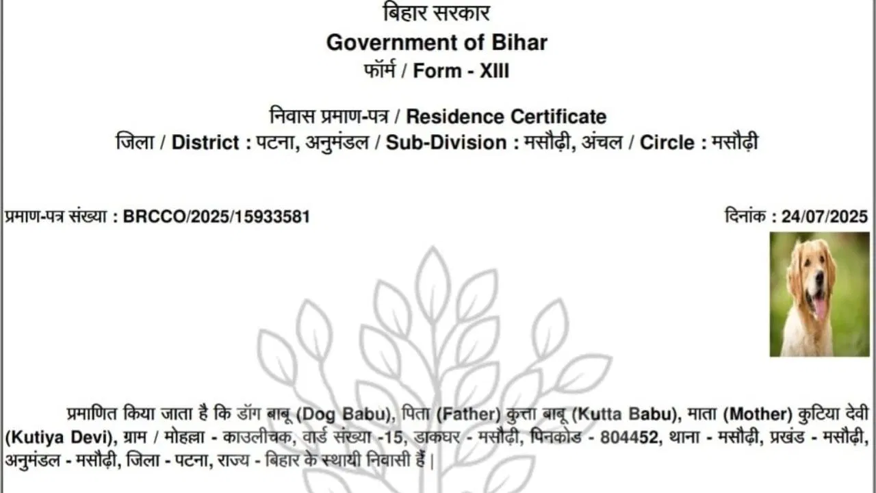 डॉग बाबू पुत्र कुत्ता बाबू’: सरकारी सिस्टम की चूक से बिहार में फर्जी प्रमाण पत्र जारी