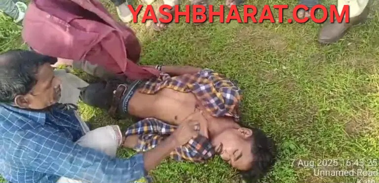 Screenshot 20250807 175405 WhatsApp2 768x371 1