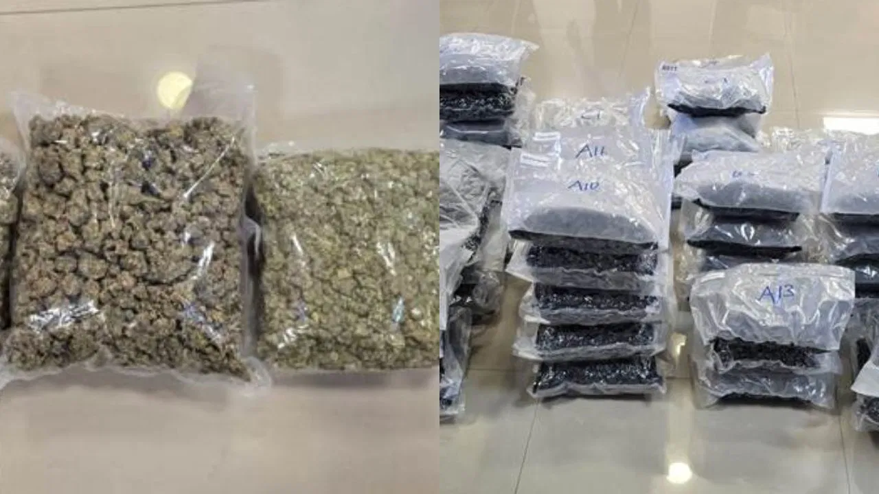 Ganja WeedOut मिशन: विदेशी गांजा के 72 किलो, तीन शहरों में फैला तस्करी का जाल; सिंडिकेट का पर्दाफाश