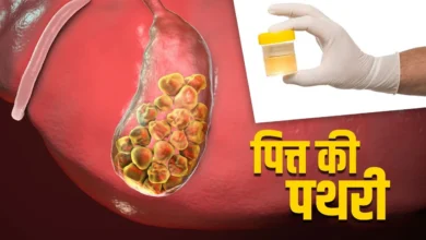 SUV से लेकर स्कूटर सस्ते होने के आसार, दिवाली गिफ्ट सरकार से! वाहन होंगे 5-8% तक सस्ते, जानें डिटेल्स