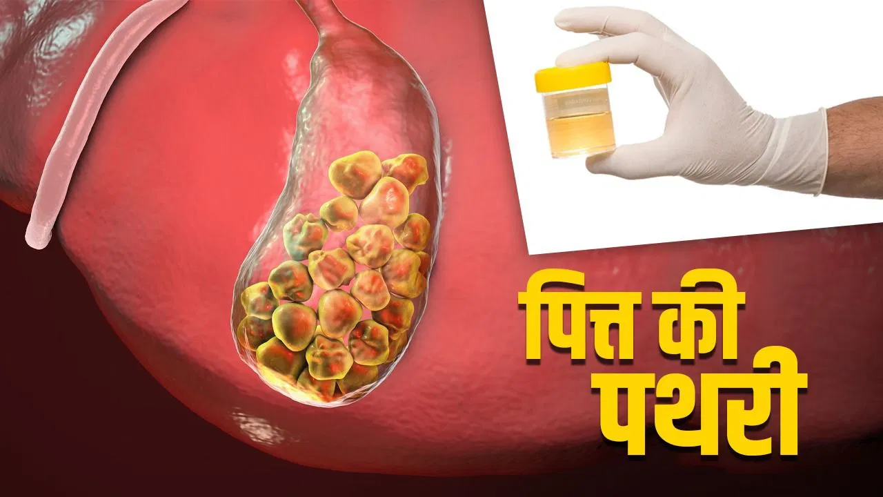 SUV से लेकर स्कूटर सस्ते होने के आसार, दिवाली गिफ्ट सरकार से! वाहन होंगे 5-8% तक सस्ते, जानें डिटेल्स