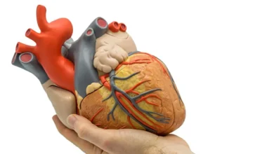 सुपरफूड्स से करें दिल का ख्याल: इन खाद्य पदार्थों को शामिल कर हार्ट डिजीज का खतरा घटाएं