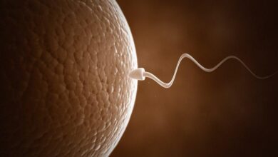 Kisme Kitna Hy Dam btayega Sperm: अब लैब टेस्ट नहीं झंझट, सिर्फ 40 मिनट में मिल जाएगी स्पर्म की पूरी रिपोर्ट