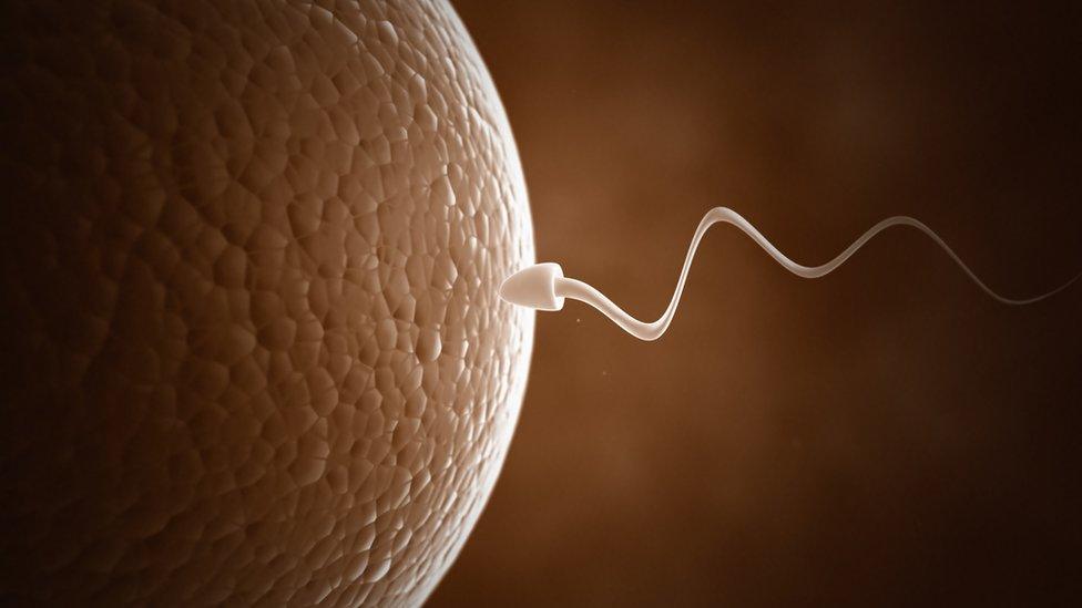 Kisme Kitna Hy Dam btayega Sperm: अब लैब टेस्ट नहीं झंझट, सिर्फ 40 मिनट में मिल जाएगी स्पर्म की पूरी रिपोर्ट