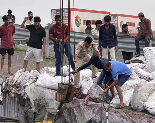 दिल्ली–मुंबई एक्सप्रेसवे पर रेलिंग तोड़कर ट्रक नीचे गिरा, दो की मौत