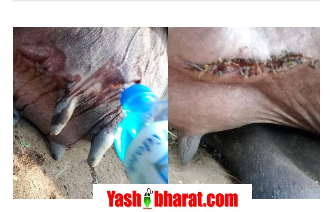 Screenshot 20250929 173845 Chrome