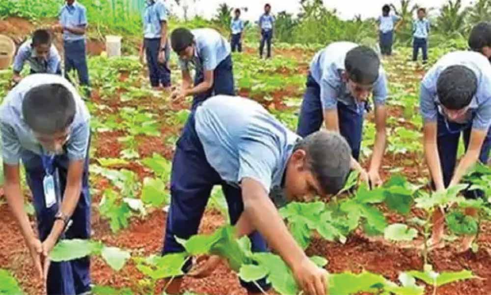 PM Modi MP Visit: धार से दिया स्वदेशी का संदेश, बोले– त्योहारों में देशी सामान खरीदें, दुकानों पर लगाएं ‘गर्व से कहो, ये स्वदेशी है
