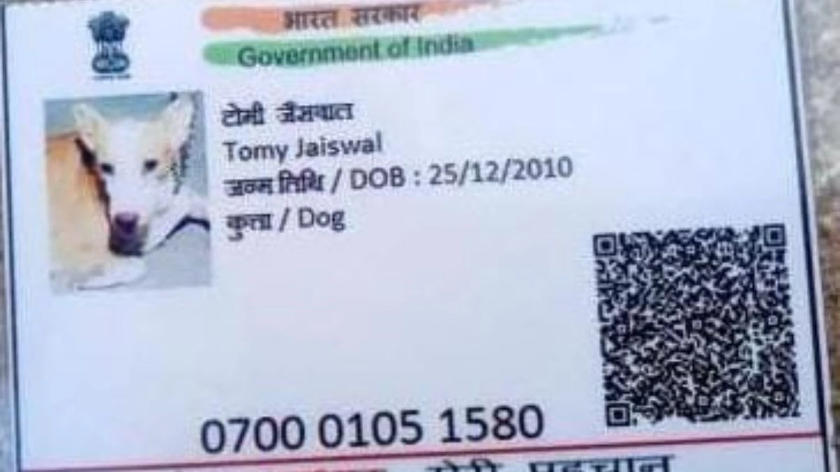 ग्वालियर में कुत्ते का आधार कार्ड बना चर्चा का विषय, जानें कौन है टॉमी?