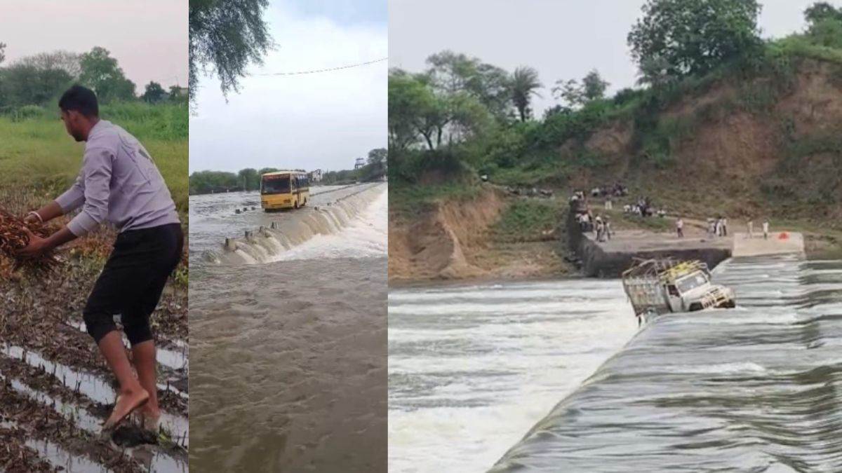 चंबल में उफान, पिकअप बहा और मालिक लापता; नीमच के खेतों में भारी नुकसान