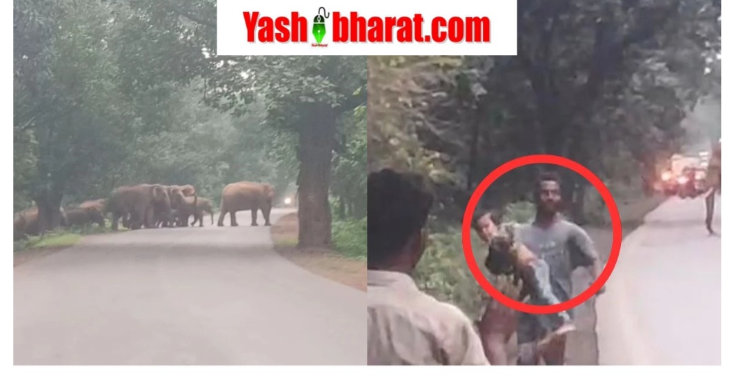 Screenshot 20251013 151315 Chrome